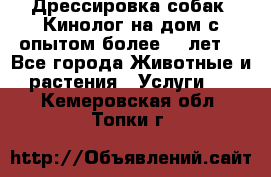 Дрессировка собак (Кинолог на дом с опытом более 10 лет) - Все города Животные и растения » Услуги   . Кемеровская обл.,Топки г.